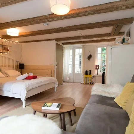 Yucca Amsterdam